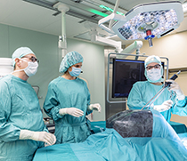Klinikdirektor der Herz- und Thoraxchirurgie Prof. Dr. med. Thorsten Walles, Esther Meyer und Assistenzarzt Anton Popov
